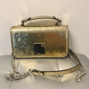Zara Gold Crossbody/Clutch